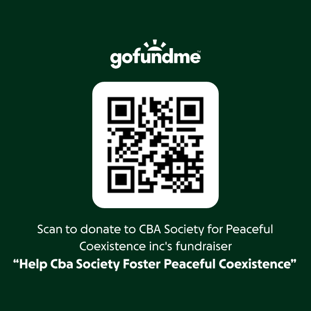 qr-code-1